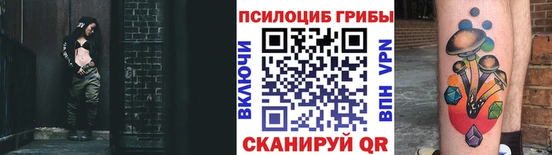 цена наркотик  Советская Гавань  Галлюциногенные грибы мухоморы 